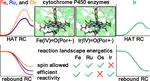 Computational Investigation of the Role of Metal Center Identity in Cytochrome P450 Enzyme Model Reactivity